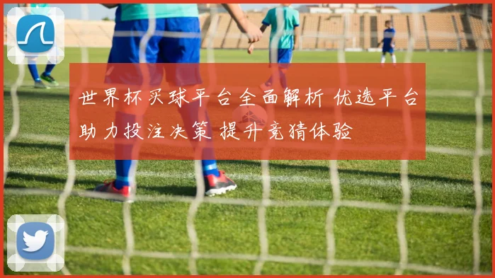 世界杯买球平台全面解析 优选平台助力投注决策 提升竞猜体验