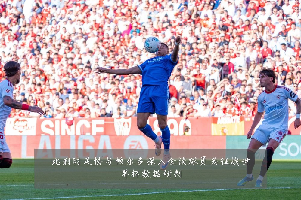 比利时足协与帕尔多深入会谈球员或征战世界杯数据研判